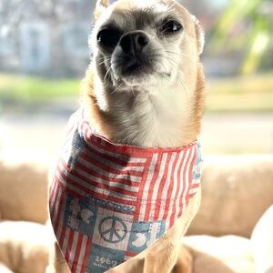 Rock and Roll Woodstock Patriotic Dog Bandana